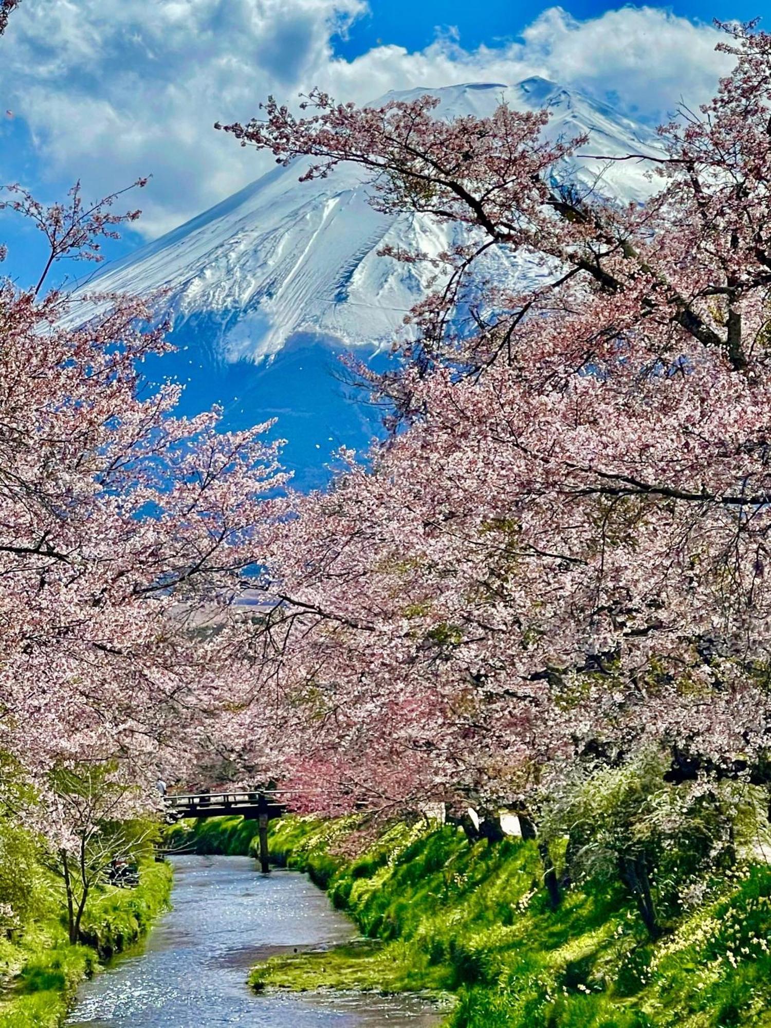 T&T Fujiyama Guest House Fujiyoshida Luaran gambar